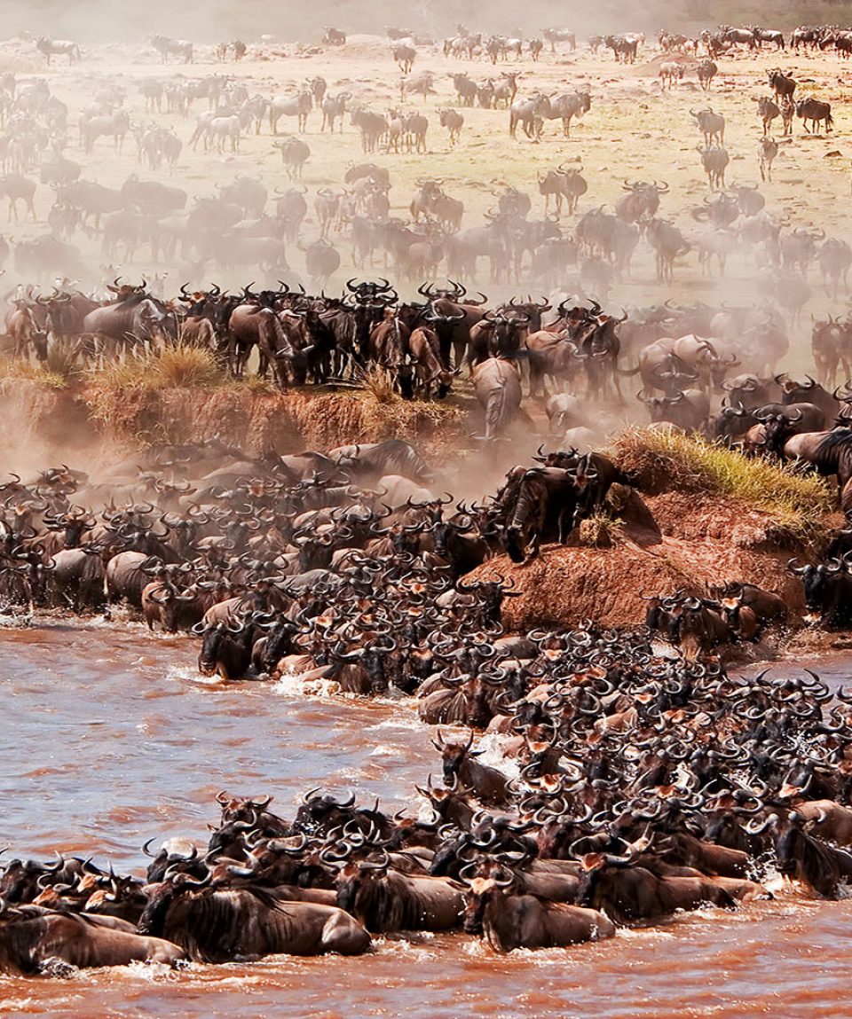 serengeti-safari-great-wildebeest-migration